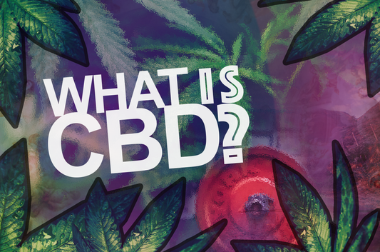 What is CBD? 🦁